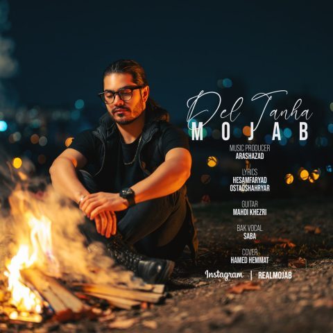 دانلود آهنگ مجاب به نام دل تنها